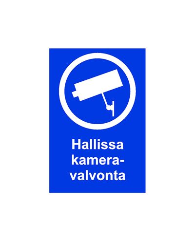 Kameraovervåking i hallen, klistremerke, 200x300 mm